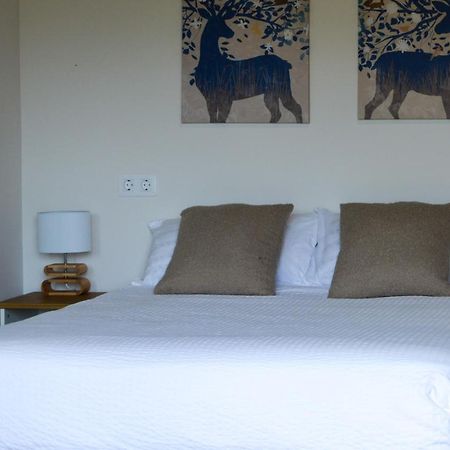 Bungalows Virales 소푸에르타 외부 사진